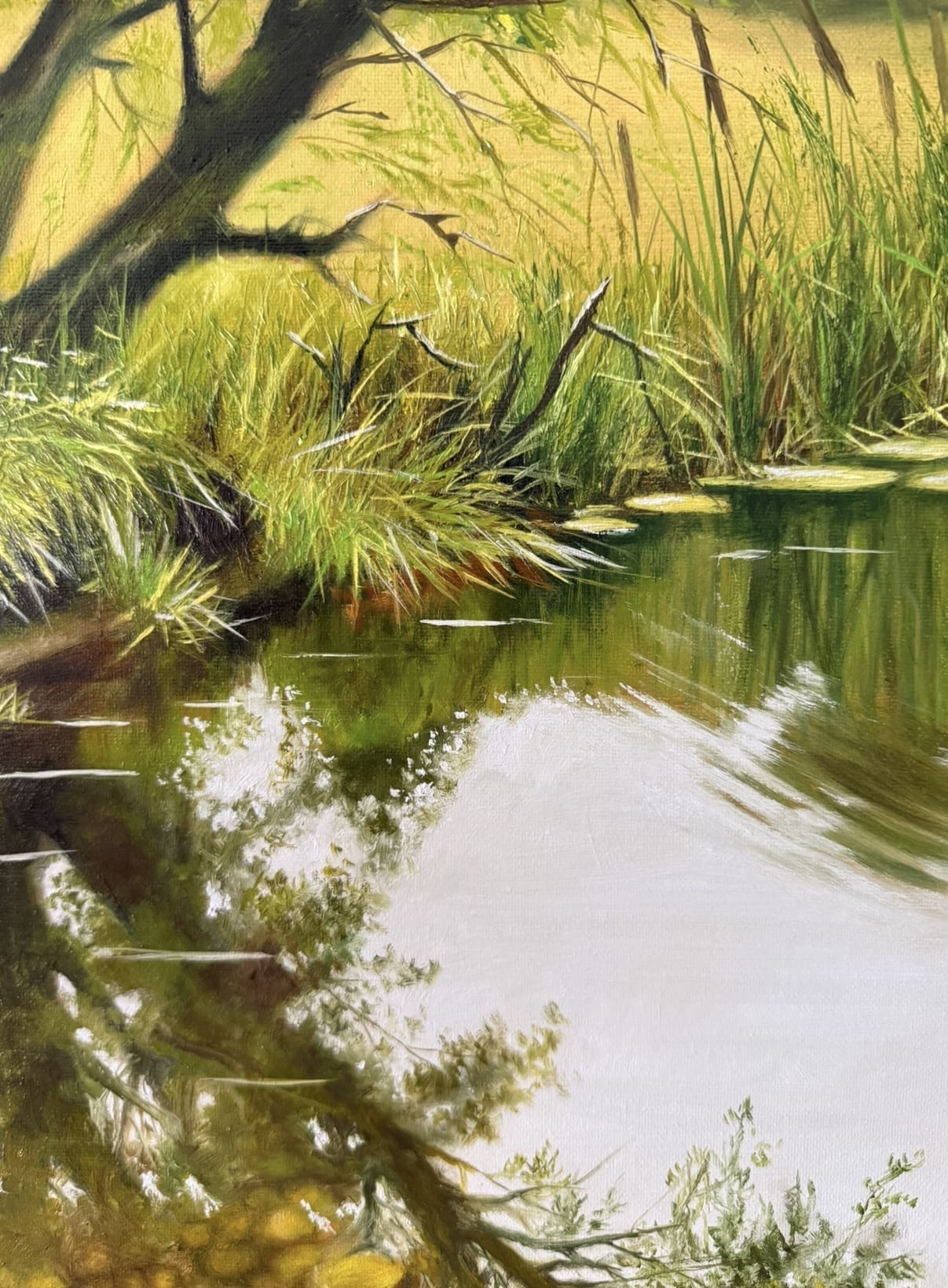 Peaceful Riverbank - Image 6