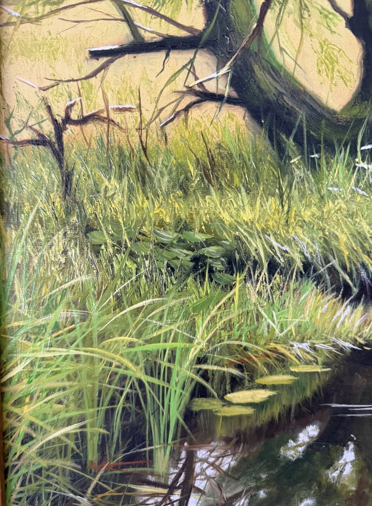 Peaceful Riverbank - Image 7