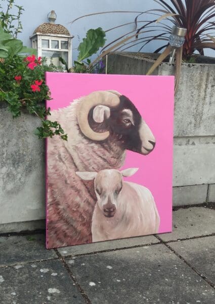 Two pink sheep