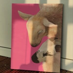 Two pink sheep II