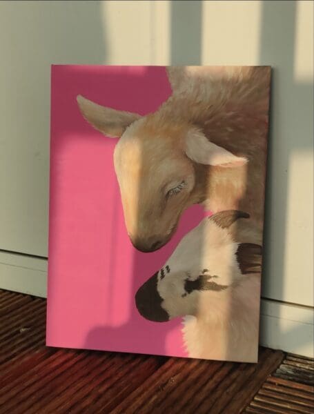 Two pink sheep II