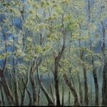 Old Woods