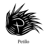 Store Icon