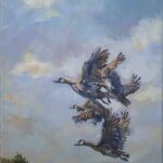 Pale Dream Of Flight