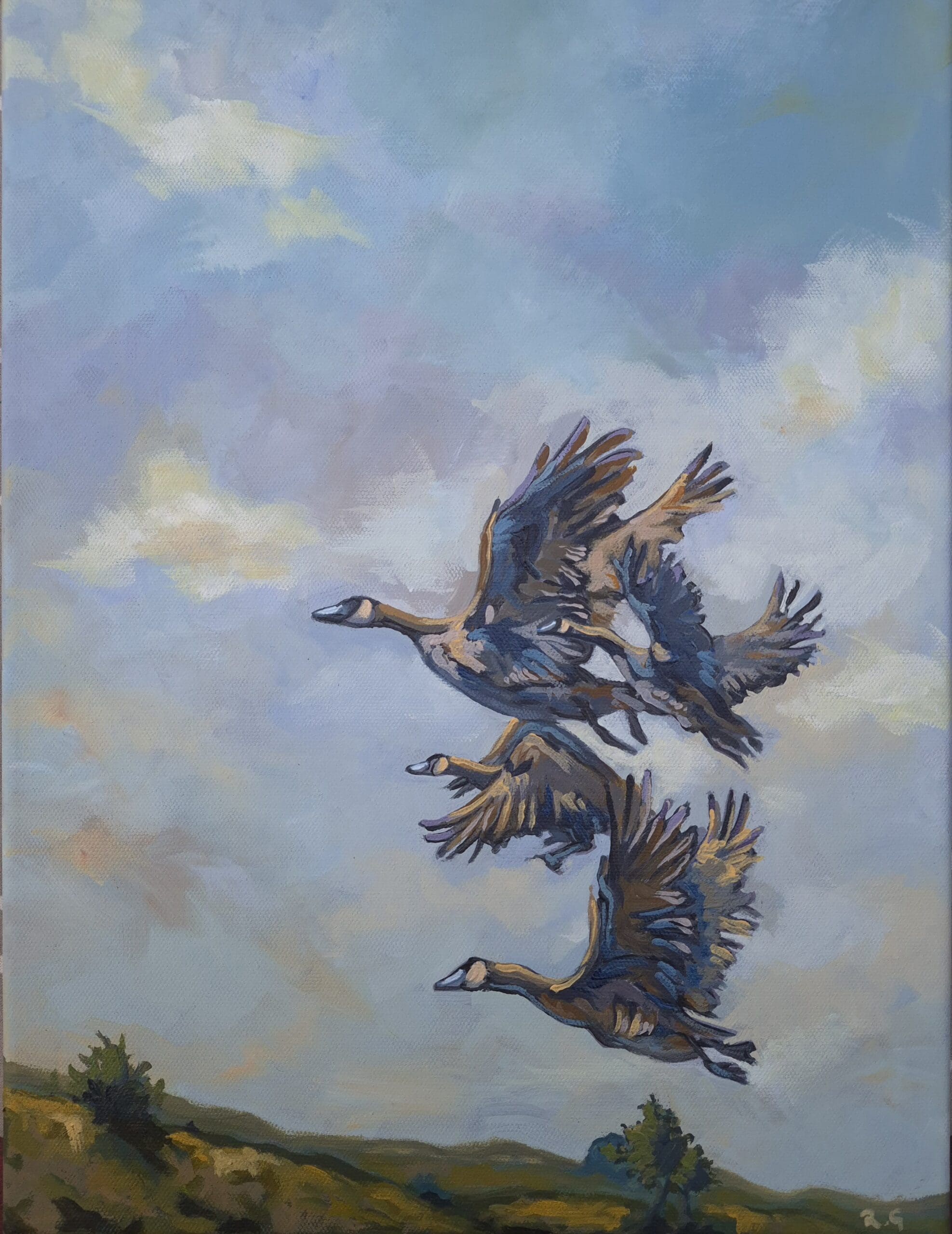 Pale Dream Of Flight