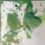 Structural Moss (60cm)