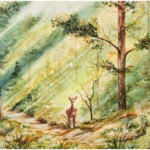 woodland walks
