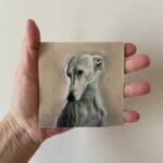 Gentle Greyhound