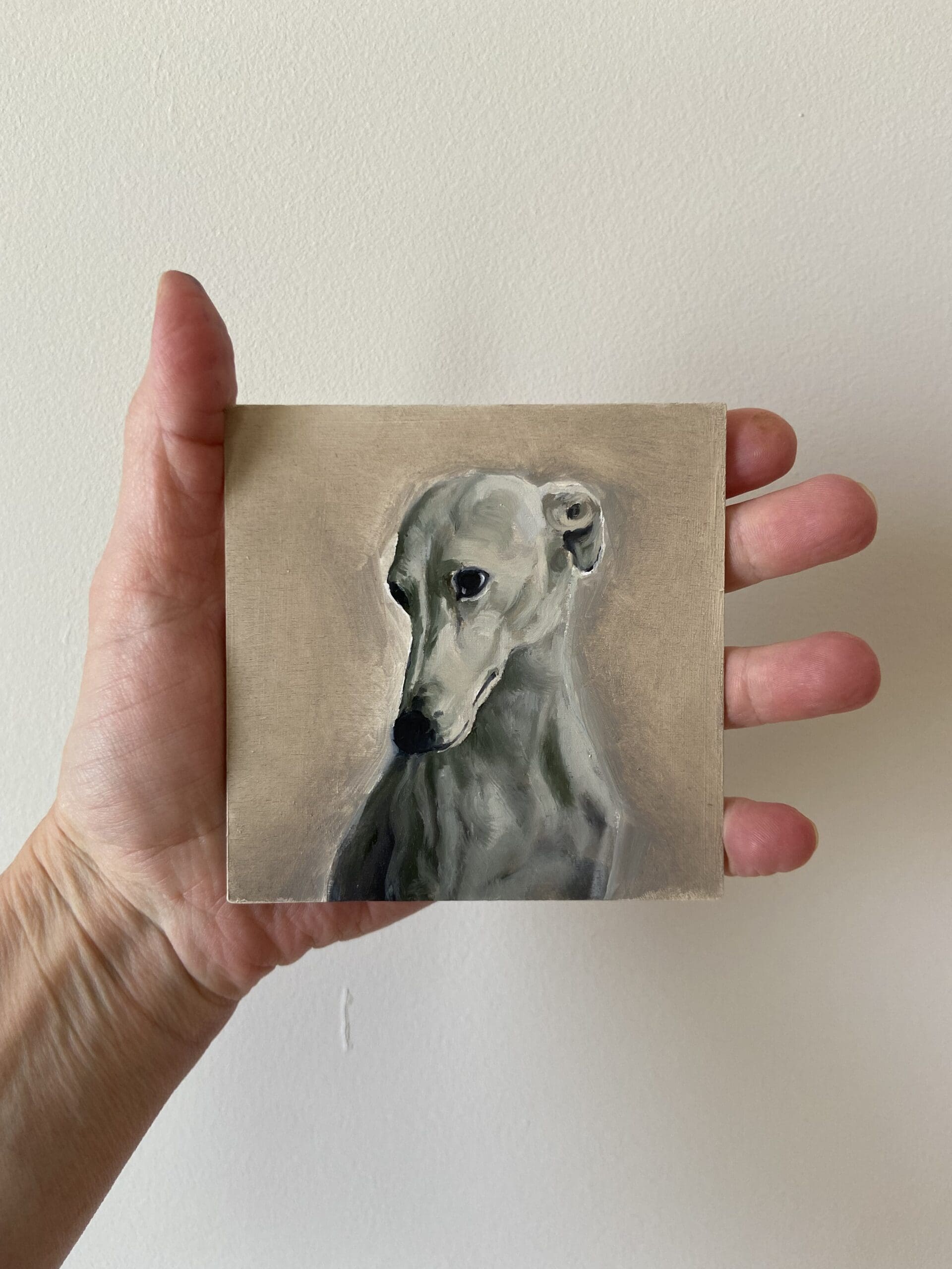 Gentle Greyhound