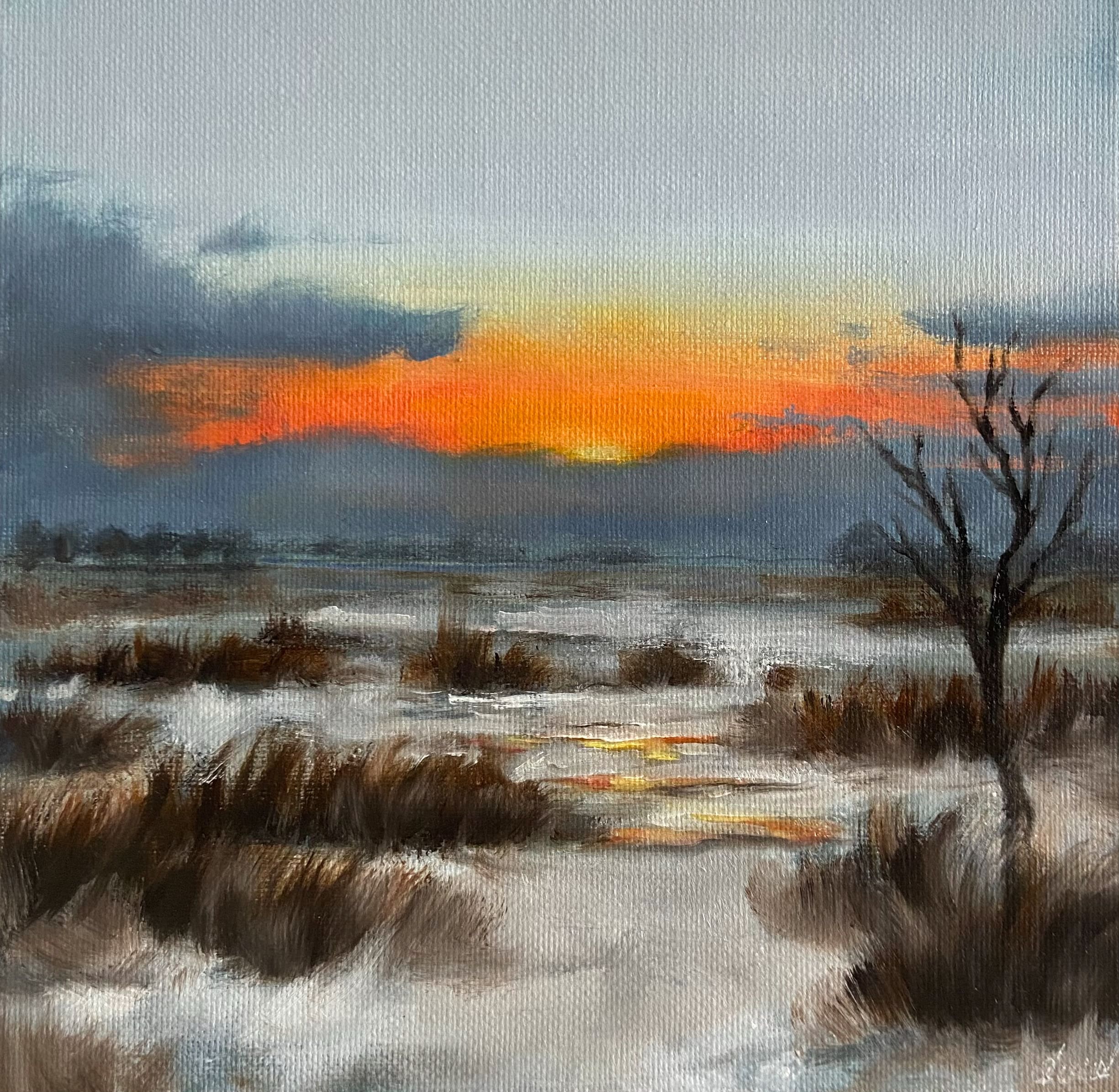 Sunset over the Bog