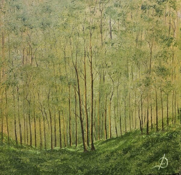 Little Woodland