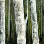 150 Collection / 23: Forest