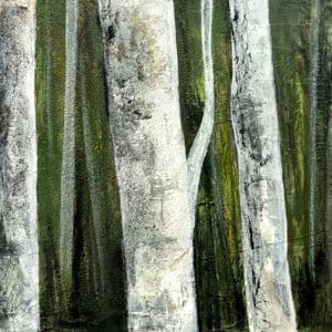 150 Collection / 23: Forest