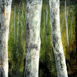 150 Collection / 24: Forest
