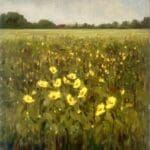 Sunflower field
