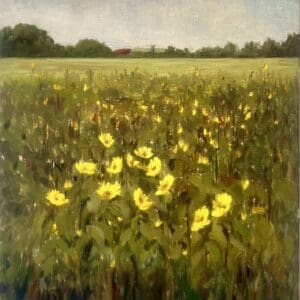 Sunflower field