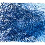 Abstract artwork featuring a dense network of intersecting blue pen lines layered over blue watercolor washes, with a warped checkerboard motif and scalloped edges.