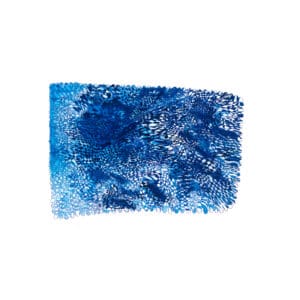 Abstract artwork featuring a dense network of intersecting blue pen lines layered over blue watercolor washes, with a warped checkerboard motif and scalloped edges.
