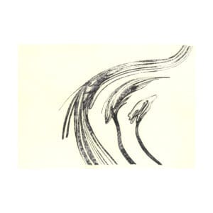 Abstract original pen artwork with three sweeping organic forms and hatched shading on a3 cream card.