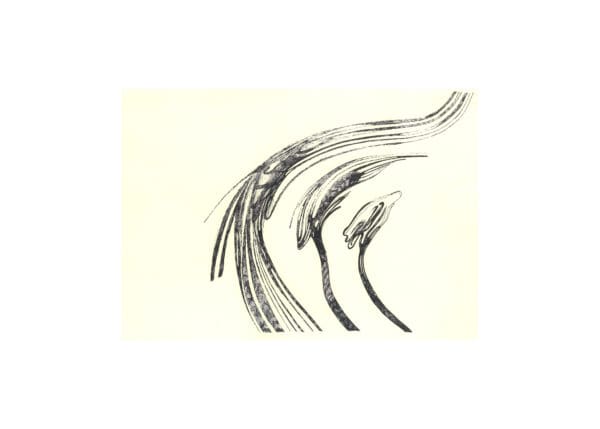 Abstract original pen artwork with three sweeping organic forms and hatched shading on a3 cream card.