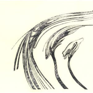 Abstract original pen artwork with three sweeping organic forms and hatched shading on cream A3 art paper.