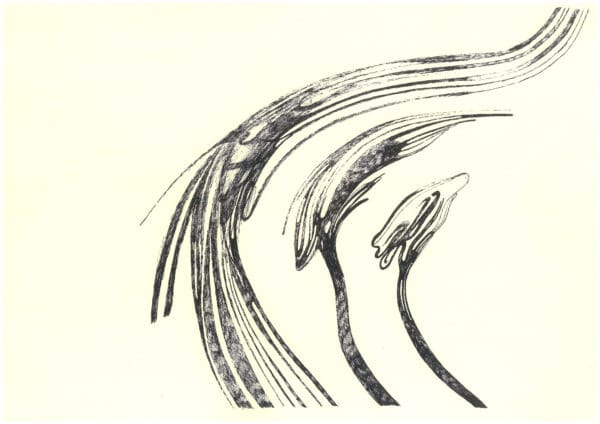 Abstract original pen artwork with three sweeping organic forms and hatched shading on cream A3 art paper.