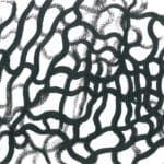 Abstract monochrome artwork on white paper consisting of thick, wavy, interlocking black acrylic ink lines forming an organic, labyrinth-like pattern.
