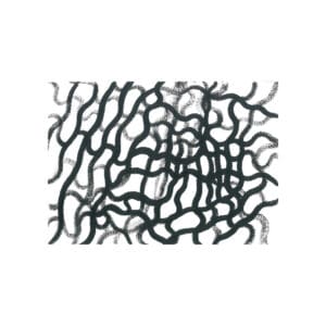 Abstract monochrome artwork on white paper consisting of thick, wavy, interlocking black acrylic ink lines forming an organic, labyrinth-like pattern.