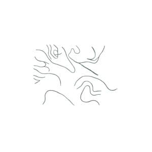 Abstract archival print with wavy black ink lines forming organic loops on a white background.
