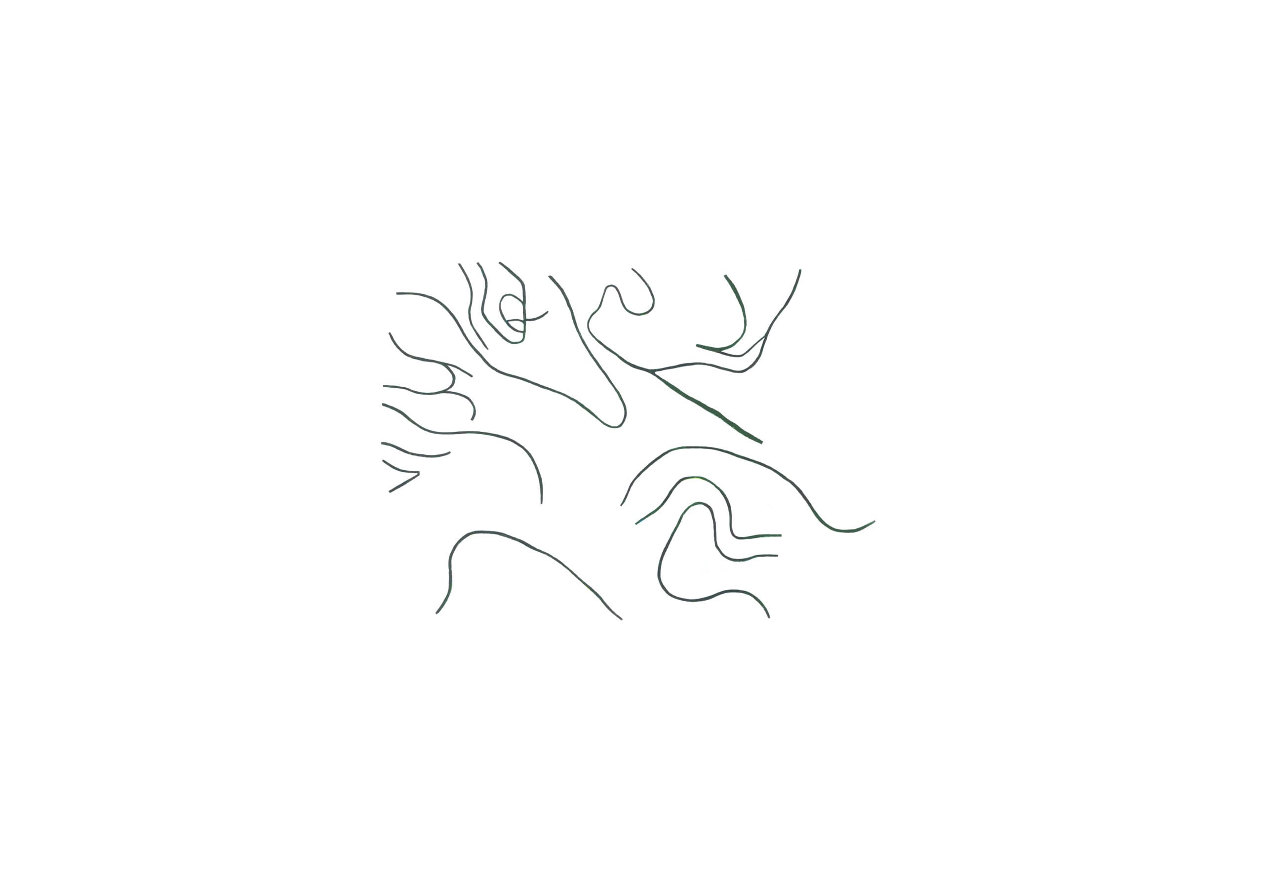 Abstract archival print with wavy black ink lines forming organic loops on a white background.
