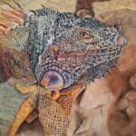 Who, Me? - Original soft pastel reptile painting, Framed