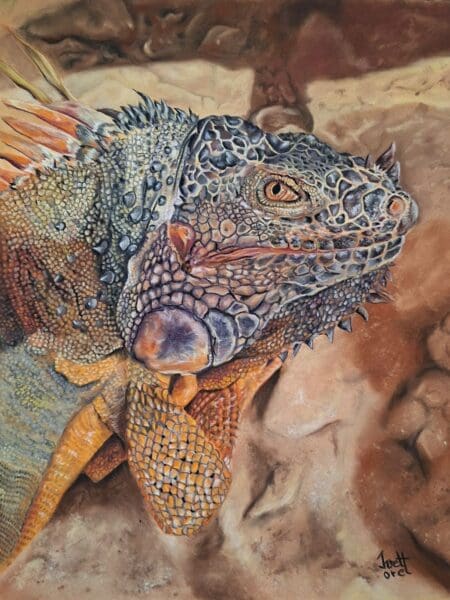 Who, Me? - Original soft pastel reptile painting, Framed