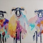 Sheep