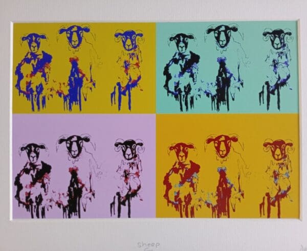Sheep