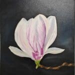 Magnolia in Bloom