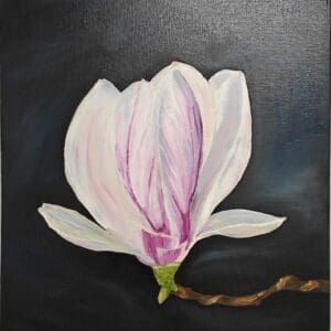 Magnolia in Bloom
