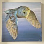 Barn Owl in Flight