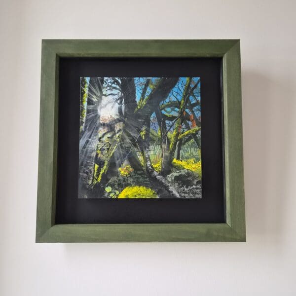 The Light Through The Trees of Gortin