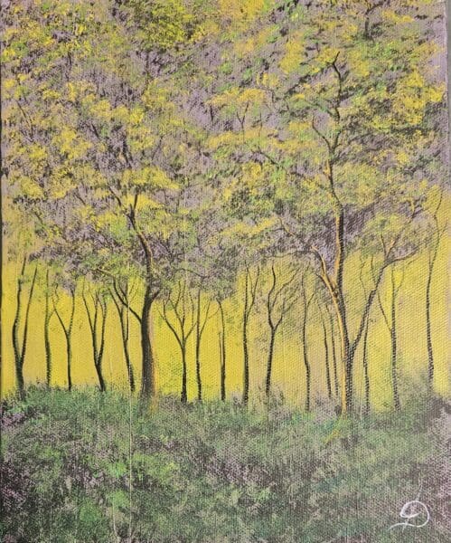 Sunlit Clearing