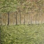 Soft Morning Trees