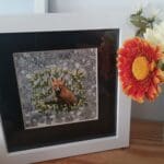 Fox in the daisies