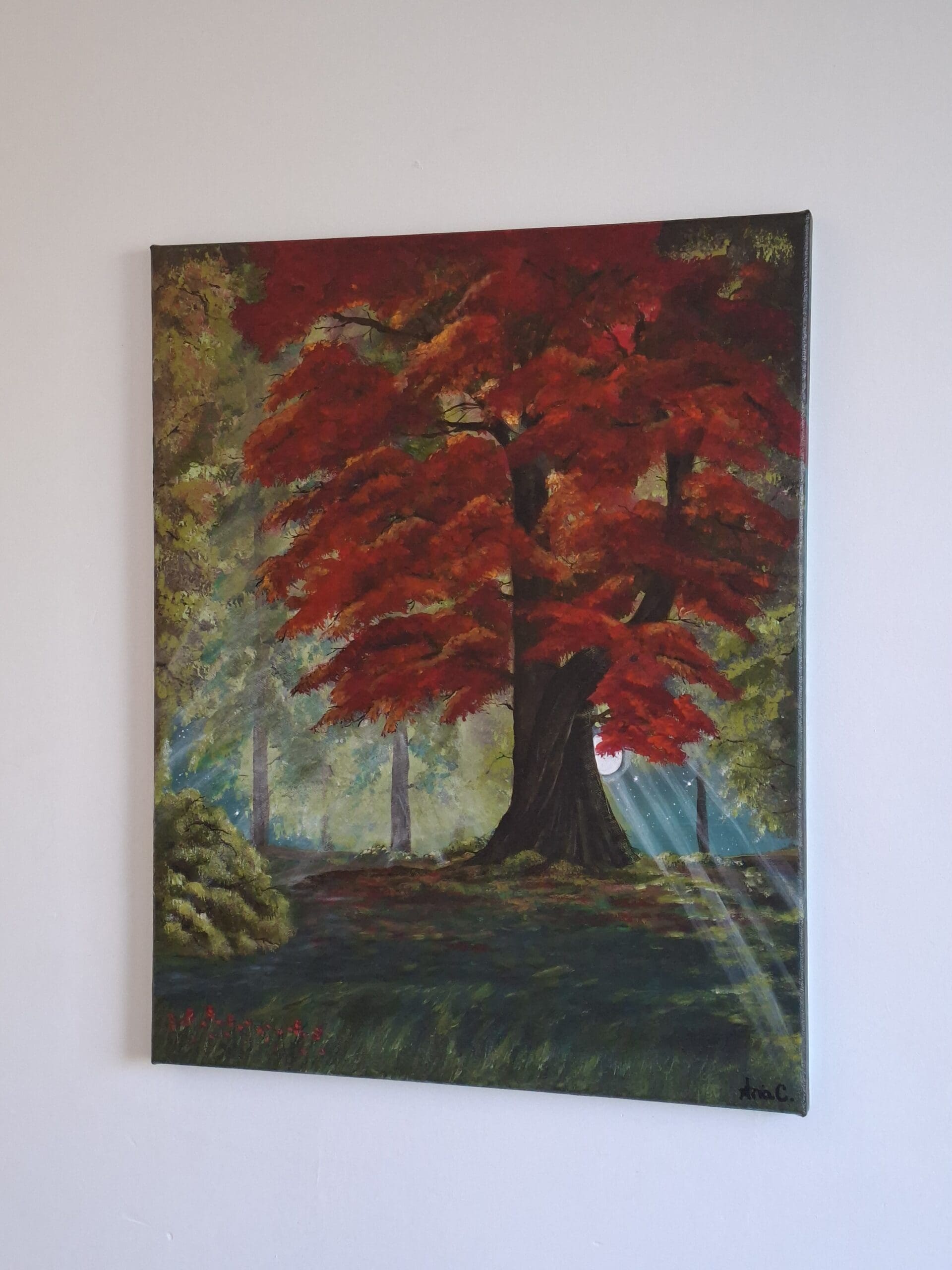 Hidden - Image 5