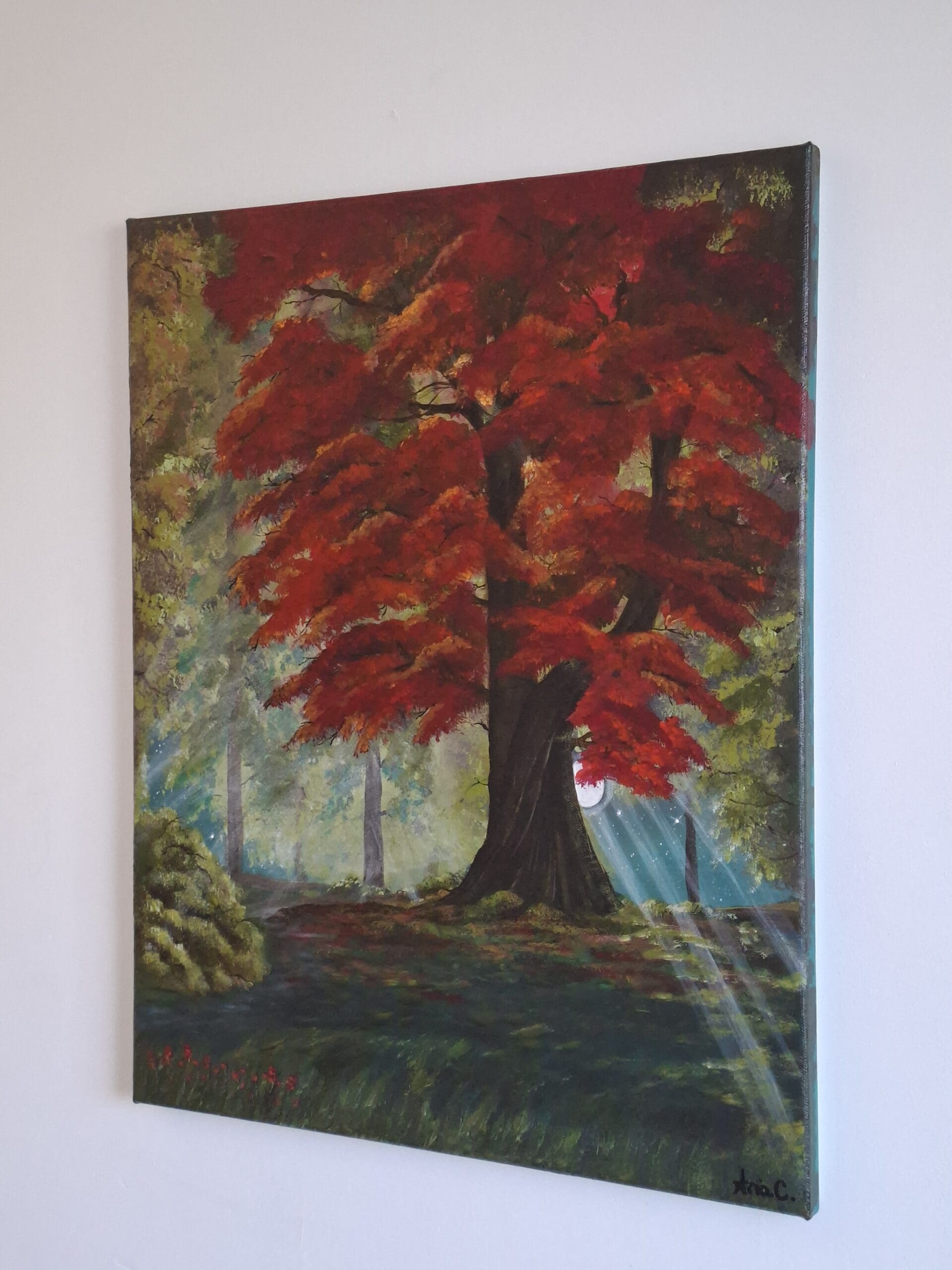 Hidden - Image 4