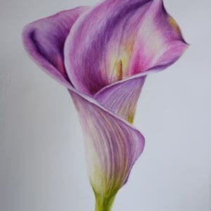 Shades of Violet