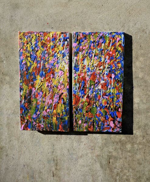Broken Flowers Work #25 Diptych