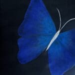 Fly Free