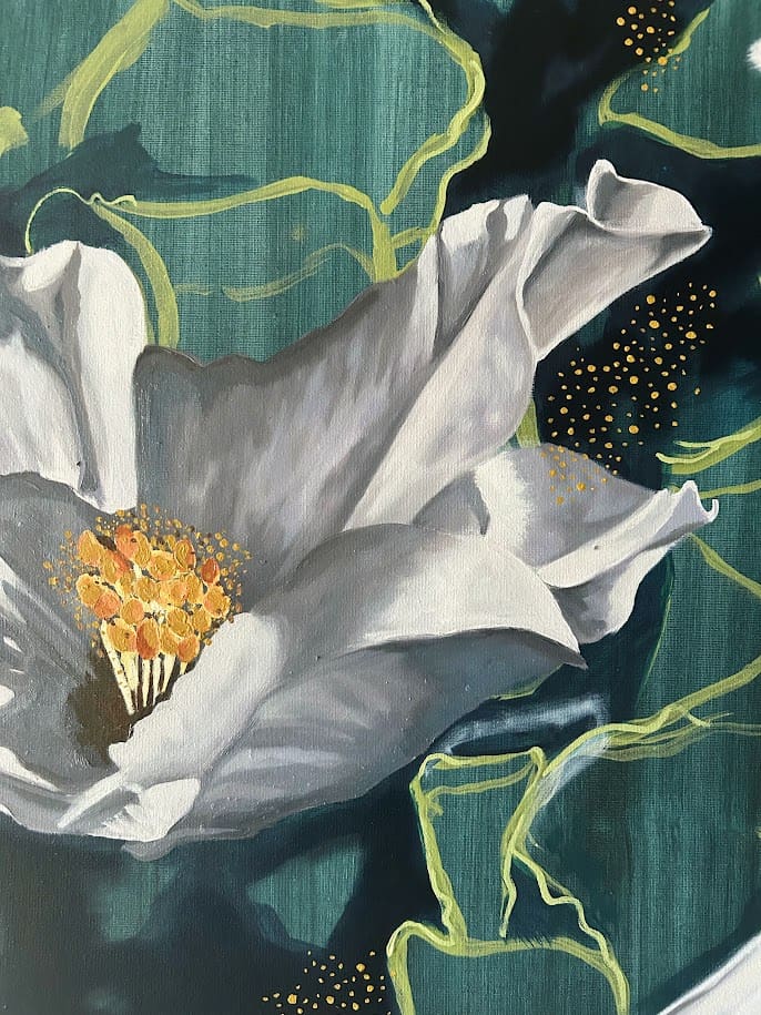 Philadelphus - Image 3