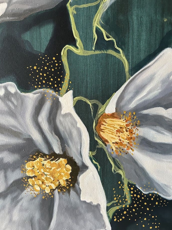 Philadelphus - Image 4